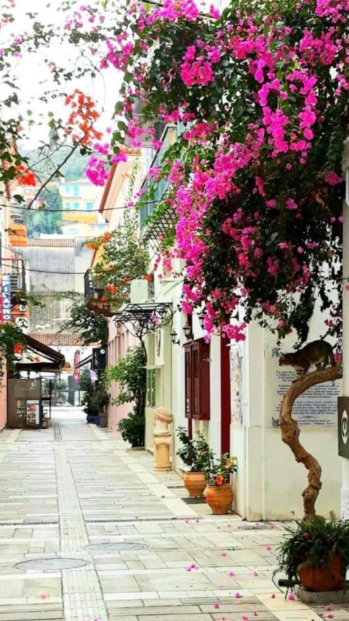 Μπαλκόνι Apartment Nauplion Exterior foto